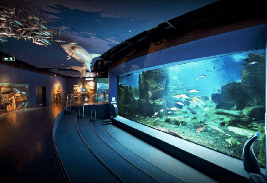 istanbul-aquarium_1658441405